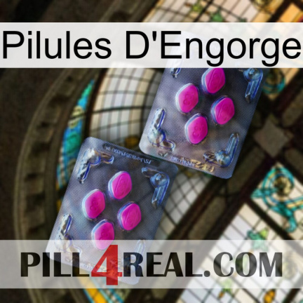 Engorge Pills 01